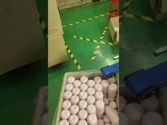 دستگاه چاپ و بسته بندی صفحه نمایش